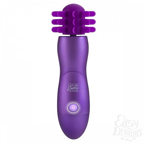  1:   BODY&SOUL CAPTIVATION PURPLE 2091-05BXSE