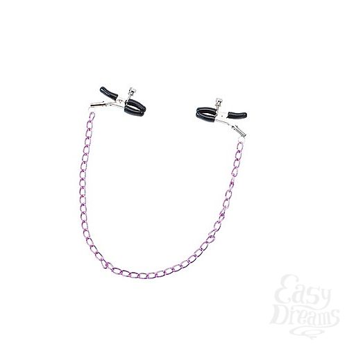  1:     Metal Nipple Chain