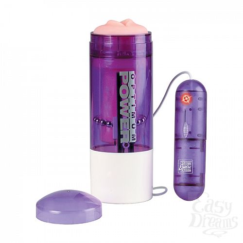  1:   Blow Job Stroker