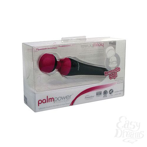  2  NEW! + Palm Power 