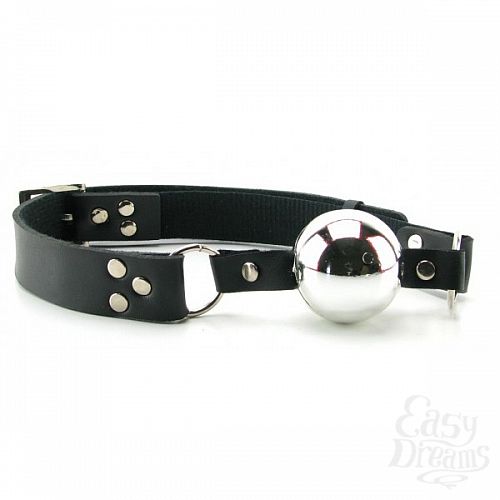 Фотография 3:  Кляп серебряного цвета Fetish Platinum Ball Gag, Черный Фотография 3  Кляп серебряного цвета Fetish Platinum Ball Gag, Черный