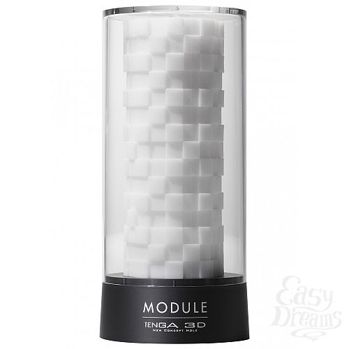  2   Tenga - 3D Module