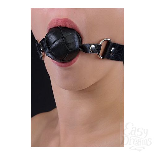 Фотография 1:  Кляп черный Фотография 1:  Кляп черный