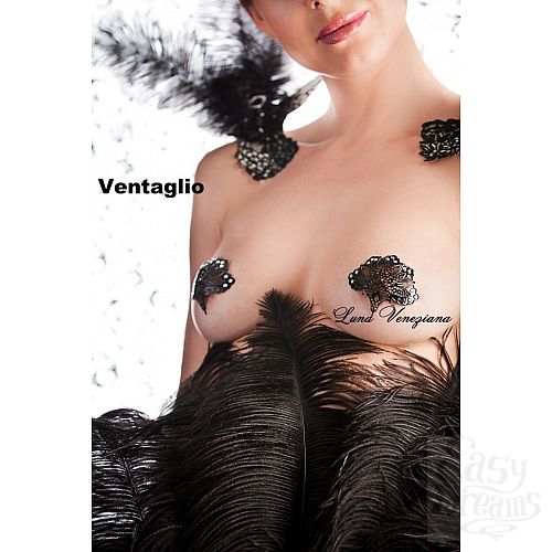  1:     Ventaglio
