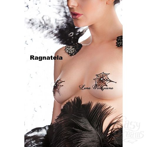 1:     Ragnatele