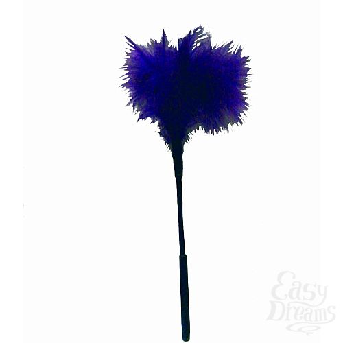  2   Feather Tickler, 