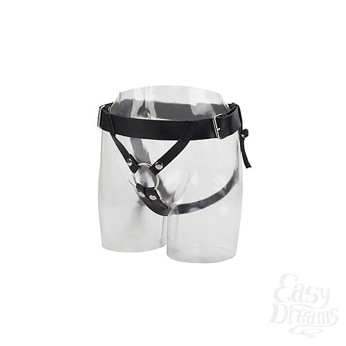  2      Universal Love Rider Harness 