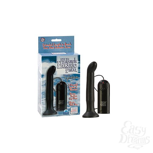  1:    EZ-Reach Prostate Probe 6,5     