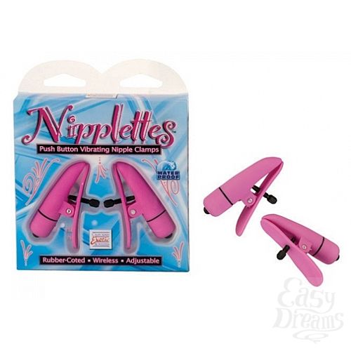  1:  -   NIPPLETTES