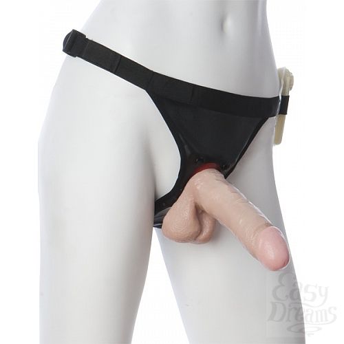  1:       Harness  