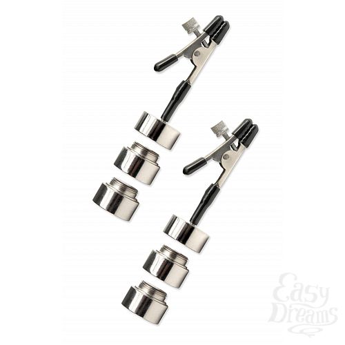 ���������� 2  ������ �� ����� � ������������ ����� Nipple Weights