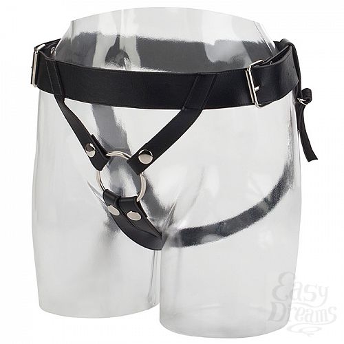  2     Harness SE-1498-50-3