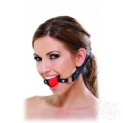 Фотография 1:  Кляп FF TWO TONE GAG 213600PD Фотография 1:  Кляп FF TWO TONE GAG 213600PD