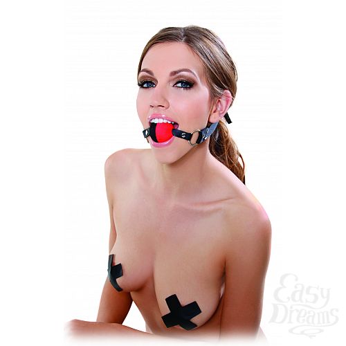 Фотография 2:  Кляп FF TWO TONE GAG 213600PD Фотография 2  Кляп FF TWO TONE GAG 213600PD