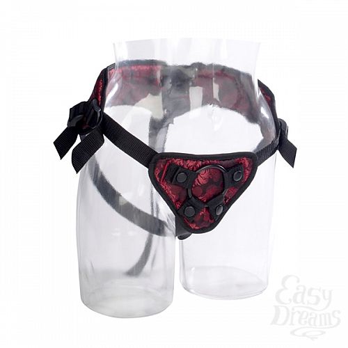  1:  - Corset Harness