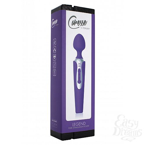  2   LEGEND MASSAGER PURPLE 10096TJ