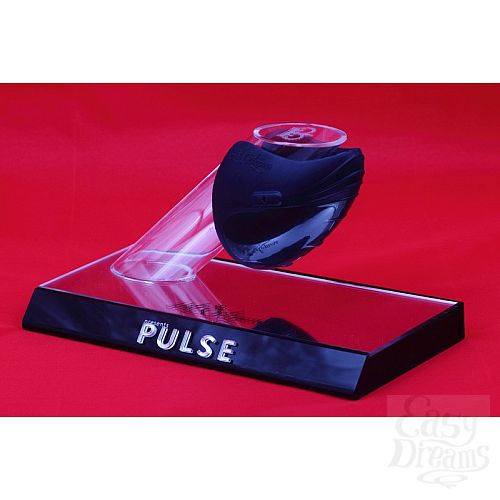  10     PULSE