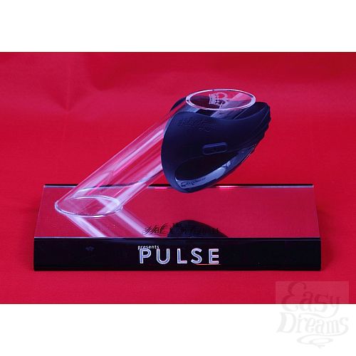  11     PULSE