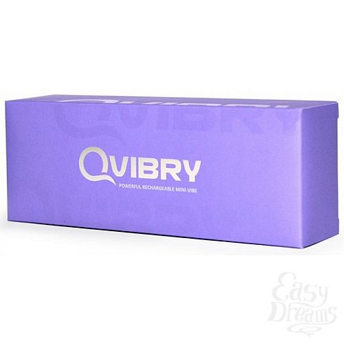  3     Qvibry