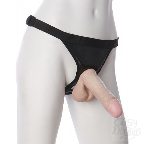  1:     HARNESS SET 2