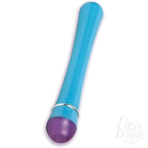  2    JENNAS CURVES 5543-21 BX DJ