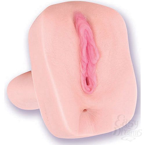  2   SUNRISE 5556-06 BX DJ