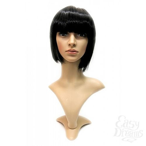  5   Gaga -  , 