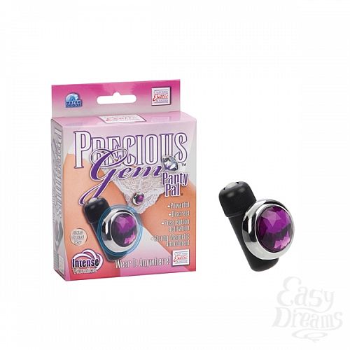  1:     Precious Gem Panty Pals Purple 0029-30BXSE