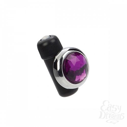  2     Precious Gem Panty Pals Purple 0029-30BXSE