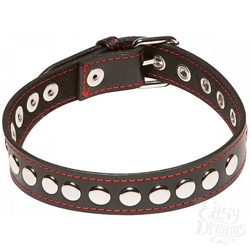  1:    X-Play Riveted Collar