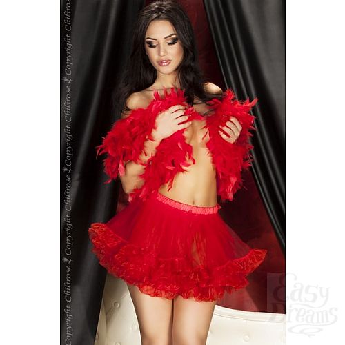  1:    Chilirose,  XXL, XXL, 