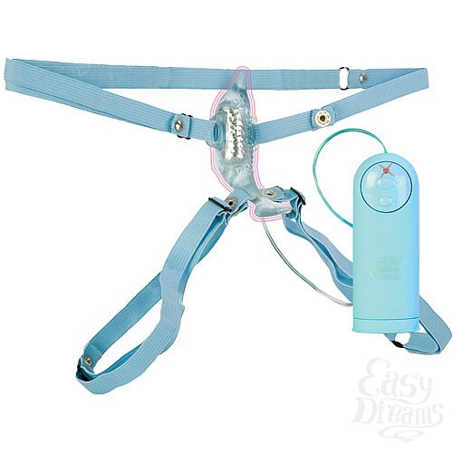  2  -  DOLPHIN 0613-50 BX SE