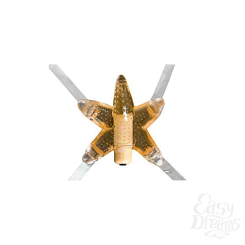  2    LI L STARFISH 617-02 BX DJ