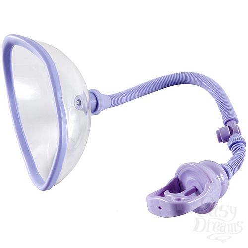  2     PUSSY PUMP PLUS 0618-01 BX DJ