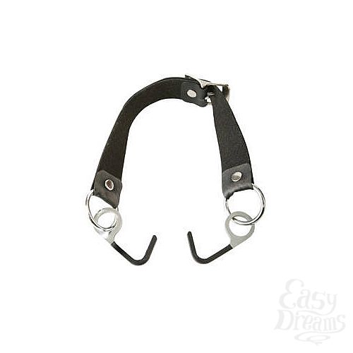  2     Double Fish Hook Restraint