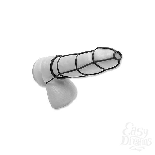  2   Cockcage and Ring Set:      , 