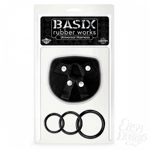  3       BASIX