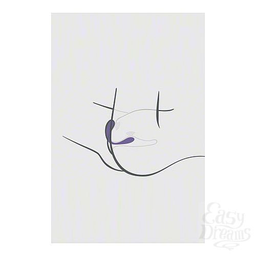  4  WE-VIBE-II Plus Purple   