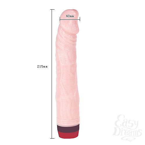  2   Rockin Dong TPE BW-001084