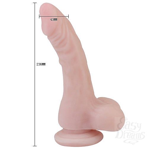 ���������� 2  �������� ������������� BW-008070NG