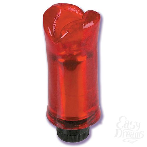  2   CLIT TEASER 7241-11 BX SE