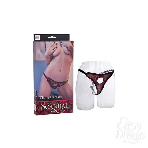  1:     Scandal Thong Harness , : -