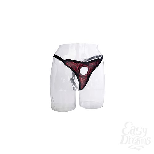  2     Scandal Thong Harness , : -