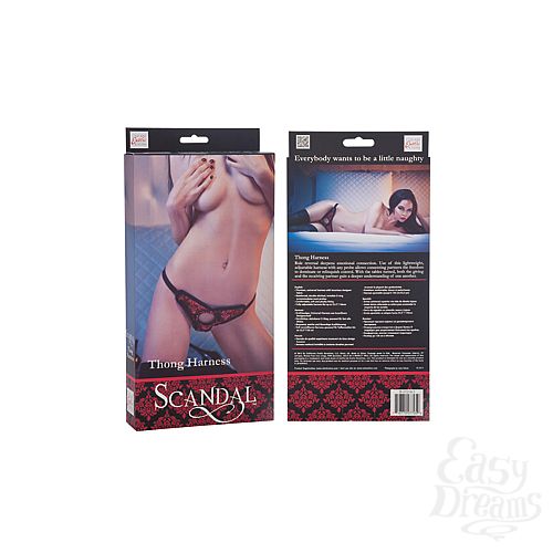  3     Scandal Thong Harness , : -