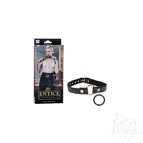  1:      Entice Open Mouth Gag 