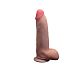 :     813600RU          ,         ,  -      .