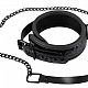       Collar with Leash.
