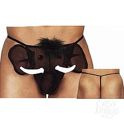   Crazy Elephant 