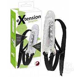 - Extension    