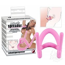         Intimate Spreader Tight